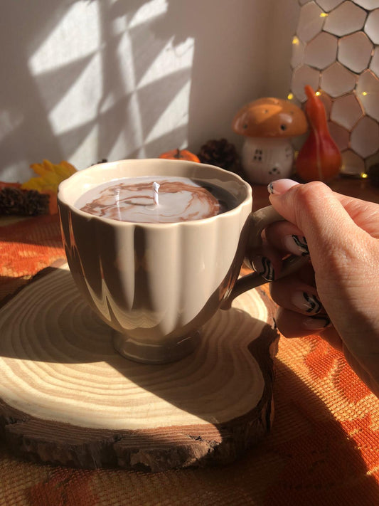 Vela Chocolate Alpes