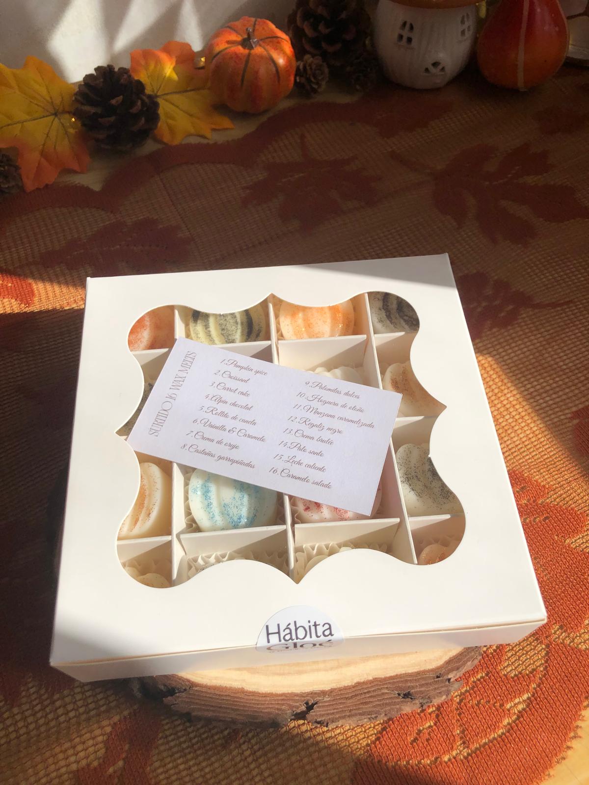 Surtido 16 Wax Melts