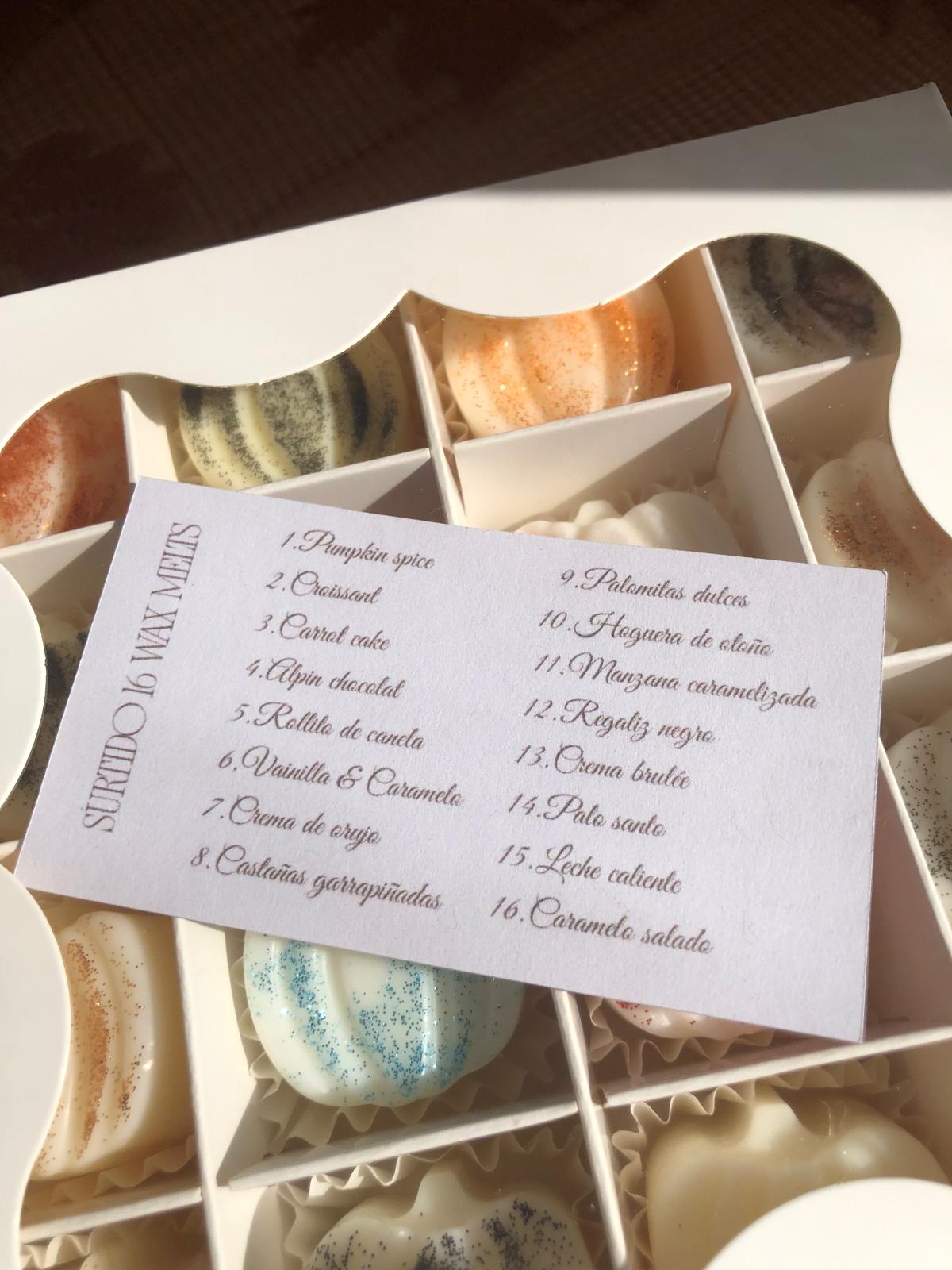 Surtido 16 Wax Melts
