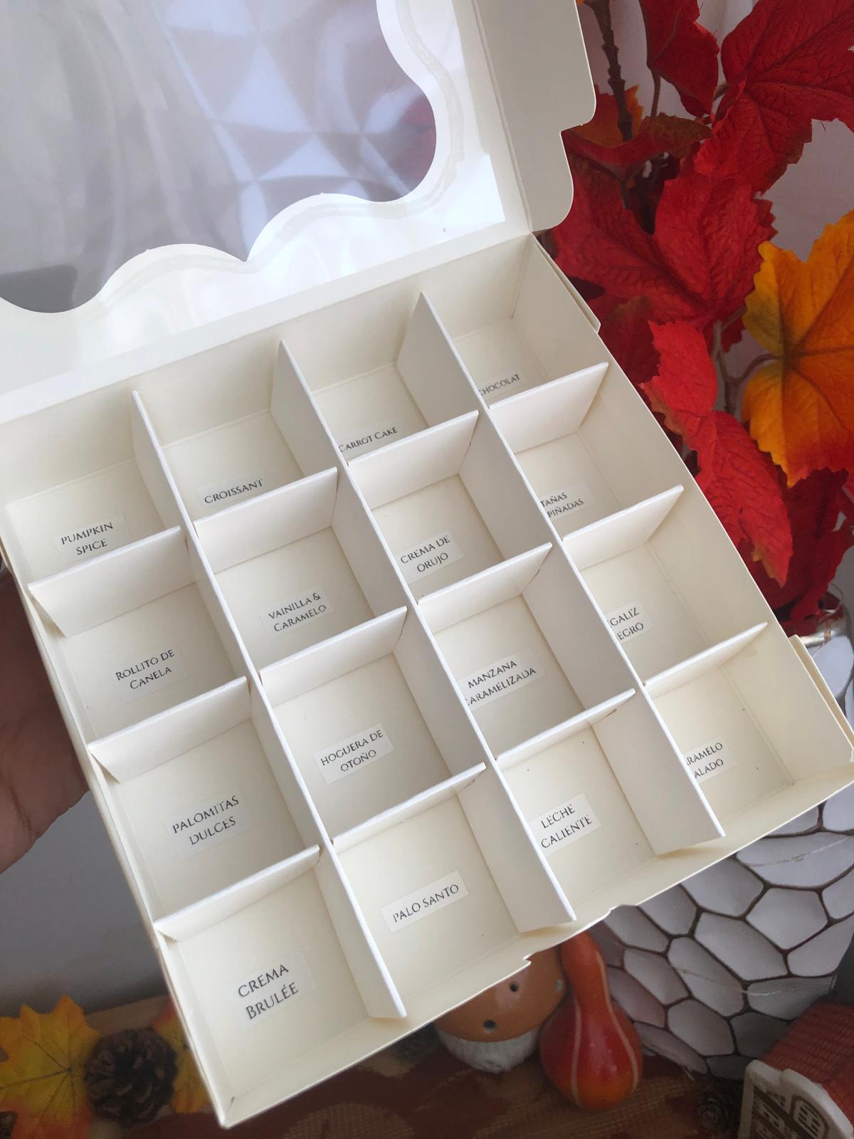 Surtido 16 Wax Melts
